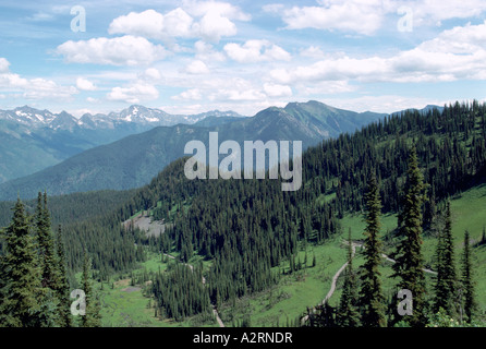 Selkirk Mountains, Slocan Valley und Nadelwälder aus Idaho Peak, BC, Britisch-Kolumbien, Kanada - Kootenay Region Stockfoto