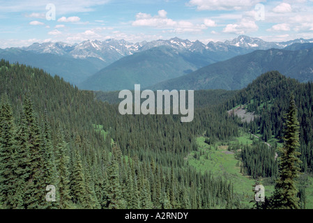 Blick auf den Selkirk Mountains und Nadelwälder aus Idaho Peak in der Kootenay Region British Columbia Kanada Stockfoto