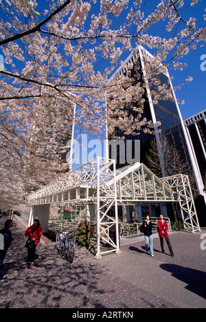 Bürotürme im Frühjahr Innenstadt in der Stadt Vancouver British Columbia Kanada Stockfoto