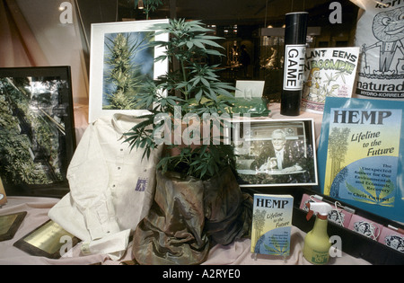 Haschisch-Utensilien Amsterdam in Amsterdam Stockfoto
