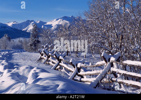 Das Nemaiah-Tal und den Coast Mountains in der Cariboo Chilcotin Region British Columbia Kanada im Winter Stockfoto