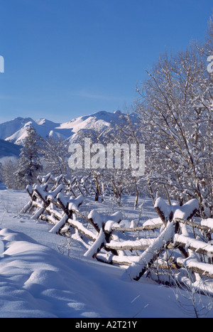 Das Nemaiah-Tal und den Coast Mountains in der Cariboo Chilcotin Region British Columbia Kanada im Winter Stockfoto