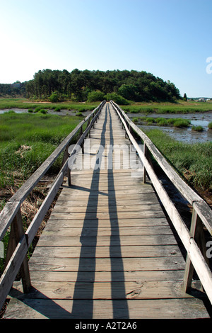 Onkel Tim s Brücke auf Cape Cod Wellfleet Massachusetts Stockfoto