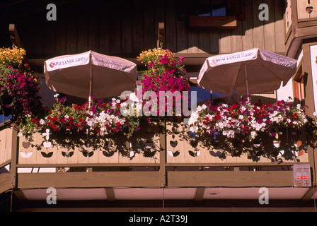 Leavenworth, WA, Washington State, USA - Blumen in Blumenkästen und Blumentöpfe, Sonnenschirme auf Hotelbalkon, Sommer Stockfoto