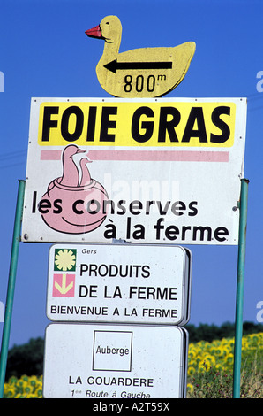 Frankreich-Gers Werbung für Stopfleber Gänseleber hausgemachte auf dem Bauernhof Stockfoto