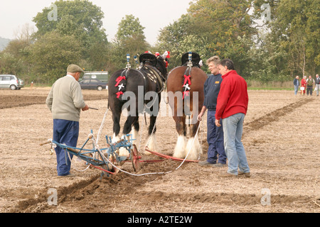 56. britischer Staatsangehöriger Pflügen Meisterschaften, Loseley Park, Surrey, Oktober 2006 Stockfoto