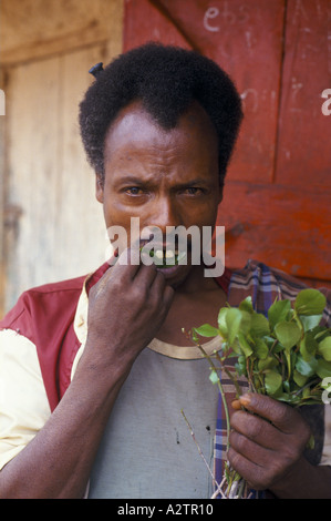 Man kauen Quat in Harege Äthiopien Stockfoto