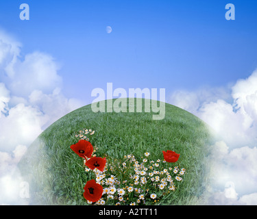 UMWELTKONZEPT: Globale Erwärmung Stockfoto