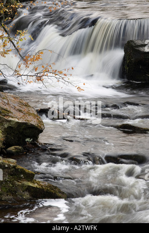 Herbstliche Wälder und Wasserfälle bei Blaen y Glyn in Brecon-Beacons-Nationalpark Stockfoto