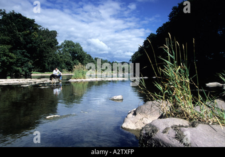 Frau und Hund in den Fluss Usk Cefn-Brynich, Brecon Beacons National Park, Wales Stockfoto