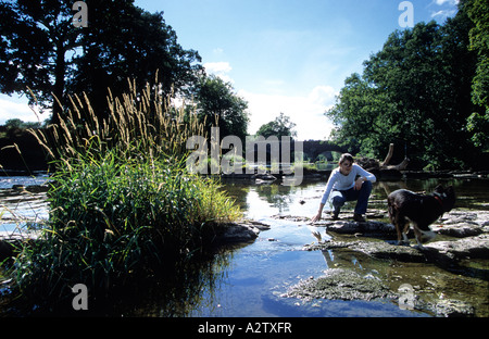 Frau und Hund in den Fluss Usk Cefn-Brynich, Brecon Beacons National Park, Wales Stockfoto