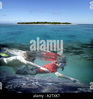 Schnorcheln am Great Barrier Reef, Australien Foto von Bruce Miller Stockfoto