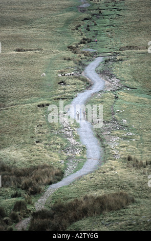 Wanderer auf Fußweg an Pen-y-Fan, Brecon Beacons National Park, Powys, Wales Stockfoto