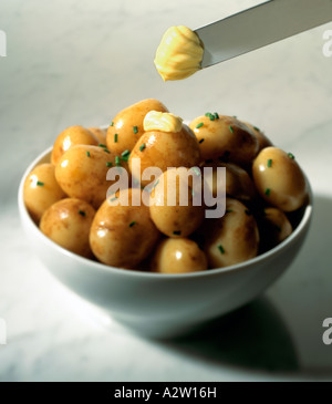 NEUE KARTOFFELN MIT SCHNITTLAUCH UND AUSBREITUNG IN EINER WEIßEN SCHÜSSEL Stockfoto