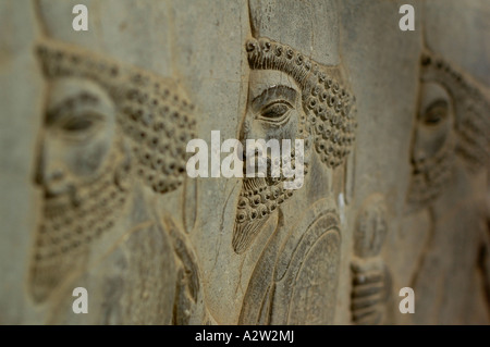 Bas-Relief des persischen Soldaten in der Persepolis archäologische Stätte, in der Nähe von Shiraz, Iran. Stockfoto