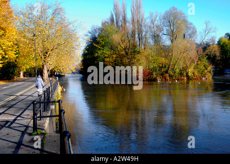 Herbstlaub Themse bei Maidenhead Berkshire England Stockfoto