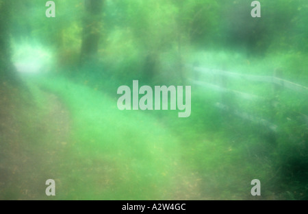 Atmosphärische grüne Strecke geschwungene neben einem Holzgeländer Zaun mit Rasen, Bäumen und Sträuchern im Spätsommer oder Frühherbst Stockfoto