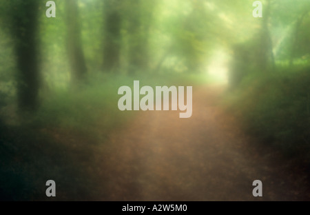 Atmosphärischen Track im Frühherbst mit braun Buche Blätter und Buchenwäldern und Banken in goldene Ferne geschwungene Stockfoto