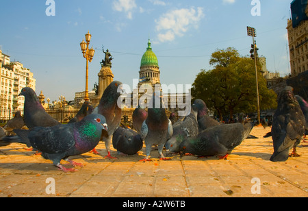 Stock Foto Congreso Nacional Buenos Aires Argentinien Stockfoto