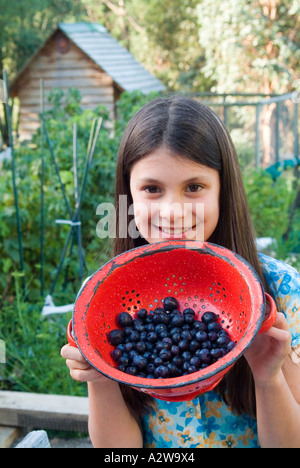 Junges Mädchen mit roten Emaille Sieb der biologisch angebaute Blaubeeren Stockfoto