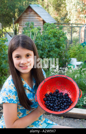 Junges Mädchen mit roten Emaille Sieb der biologisch angebaute Blaubeeren Stockfoto