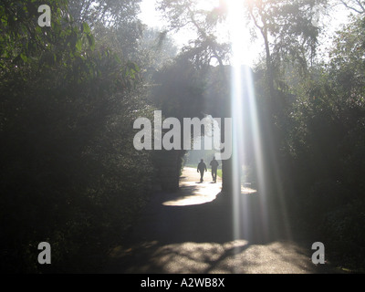 Sonnenlicht durch Bäume mit Lichtstrahl und Menschen zu Fuß entfernt, in Ferne Kew Gardens, London England UK Stockfoto