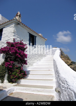 Stufen hinauf auf weißen Häuschen mit klaren, blauen Himmel und Trauerweiden im Vordergrund Skopelos Griechenland Stockfoto