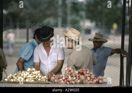Gruppe von Männern, die Zwiebeln auf einem Marktstand in Santa Clara, Kuba zu verkaufen Stockfoto