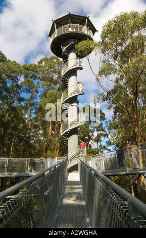 Der Turm der Otway Fly Treetop Regenwaldwanderung, Victoria, Australien Stockfoto
