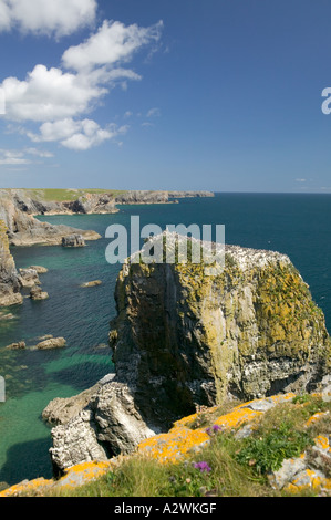 Stack Felsen Pembrokeshire Coast National Park Pembrokeshire Wales Stockfoto