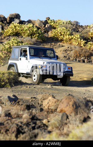 Soft Top Wrangler Jeep sport 4 x 4 Fahren abseits der Straßen auf unbefestigten Weg durch Kaktus Felder am Ufer Norden Teneriffa Kanarische Inseln Stockfoto