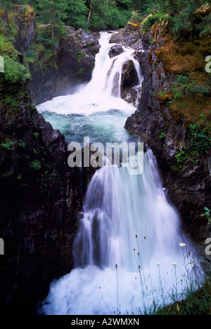 Wasserfall, kleine Qualicum Falls Provincial Park in der Nähe von Parksville, Vancouver Island, BC, Britisch-Kolumbien, Kanada Stockfoto