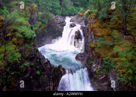 Wasserfall, kleine Qualicum Falls Provincial Park in der Nähe von Parksville, Vancouver Island, BC, Britisch-Kolumbien, Kanada Stockfoto