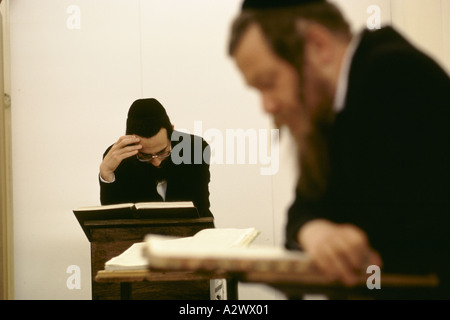 Studium der Thora an Jeschiwa, Emmanual chassidischen Siedlung Westjordanland Israel Männer Stockfoto