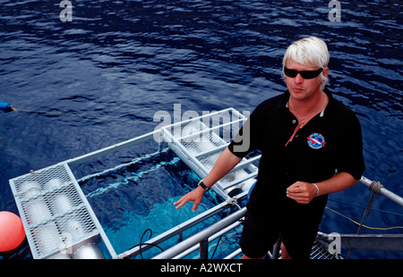 Tauchreiseführer und Shark Cage Mexiko Pazifik Guadalupe Stockfoto