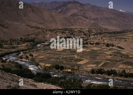 Eine Sammlung von in einer Werkstatt zusammengesetzten Beinprothesen aus dem Jahr 1992, die verschiedene Fertigungsphasen zeigen. Stockfoto