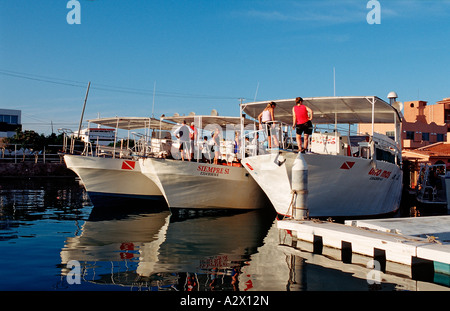 Club Cantamar Tauchboot Mexico Sea of Cortez Baja California La Paz Stockfoto