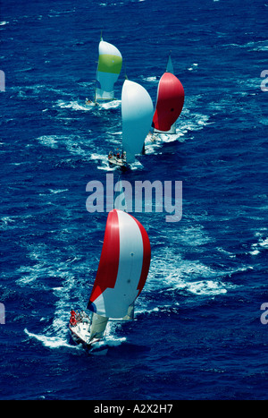 Yacht-Rennen. Boote mit Spinnaker Segeln. Luftaufnahme. Stockfoto