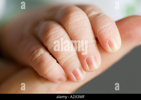 Die ^ Wunder der eine [Babys winzige Hand] [halten ihre Mutter Daumen]. [Mädchen] [vier Tage alt] Stockfoto