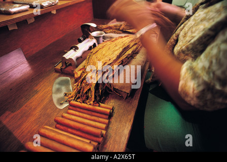 Zigarre macht in der hand gerollt Zigarre Fabrik, Real Fabrica de Tabacos Partagas, Havanna Kuba. Stockfoto