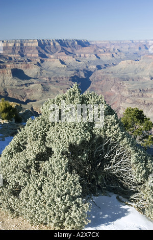 Grand Canyon im Winter gesehen von Lipan Punkt bei Sonnenaufgang Arizona Grand-Canyon-Nationalpark Stockfoto