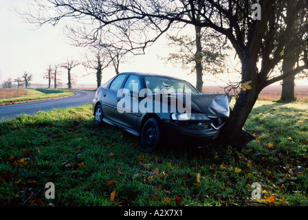 Verkehrsunfall. Autowrack auf knallharten Baum. Stockfoto