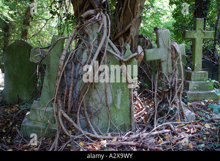 Überwucherten Kreuze auf dem Highgate cemetery Stockfoto