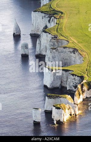 Zerklüftete Küste Großbritanniens. Luftaufnahme der alten Felsen Harry. Abendsonne. Küste von Dorset. VEREINIGTES KÖNIGREICH. Stockfoto