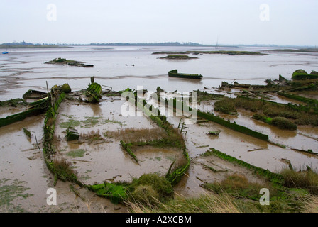 Alte hölzerne Schiffe versenkt im Schlamm und Schlick, Küstenerosion zu verhindern. Blackwater River Ebbe. Themse-Mündung.  VEREINIGTES KÖNIGREICH. Stockfoto