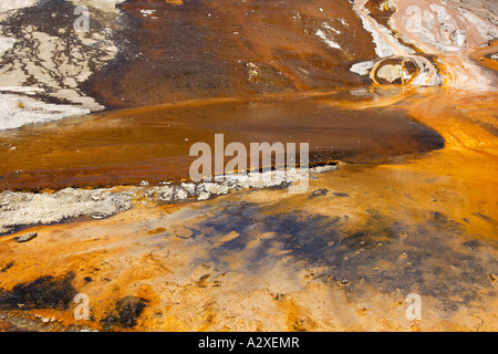 Fels hautnah an Orakei Korako in der Nähe von Rotorua in Neuseeland Stockfoto