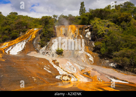 Orakei Korako in der Nähe von Rotorua in Neuseeland Stockfoto