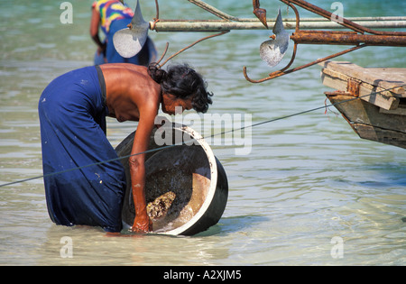 Myanmar, Burma Moken Stamm Frau Reinigung Seegurke Pott ist bei Lampi Insel,, Mergui Archipel, Andamanensee Stockfoto