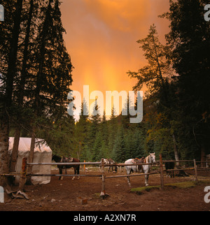 Kanadischen Rocky Mountains, Sonnenaufgang am Horse Corral Basislager Wildnis, Banff Nationalpark, Alberta, Kanada Stockfoto