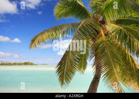 Palmen gesäumten Strand Aitutaki Cook Inseln Polynesiens Stockfoto